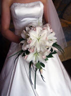 Angel Blooms Florist