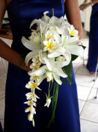 Angel Blooms Florist Central Coast NSW